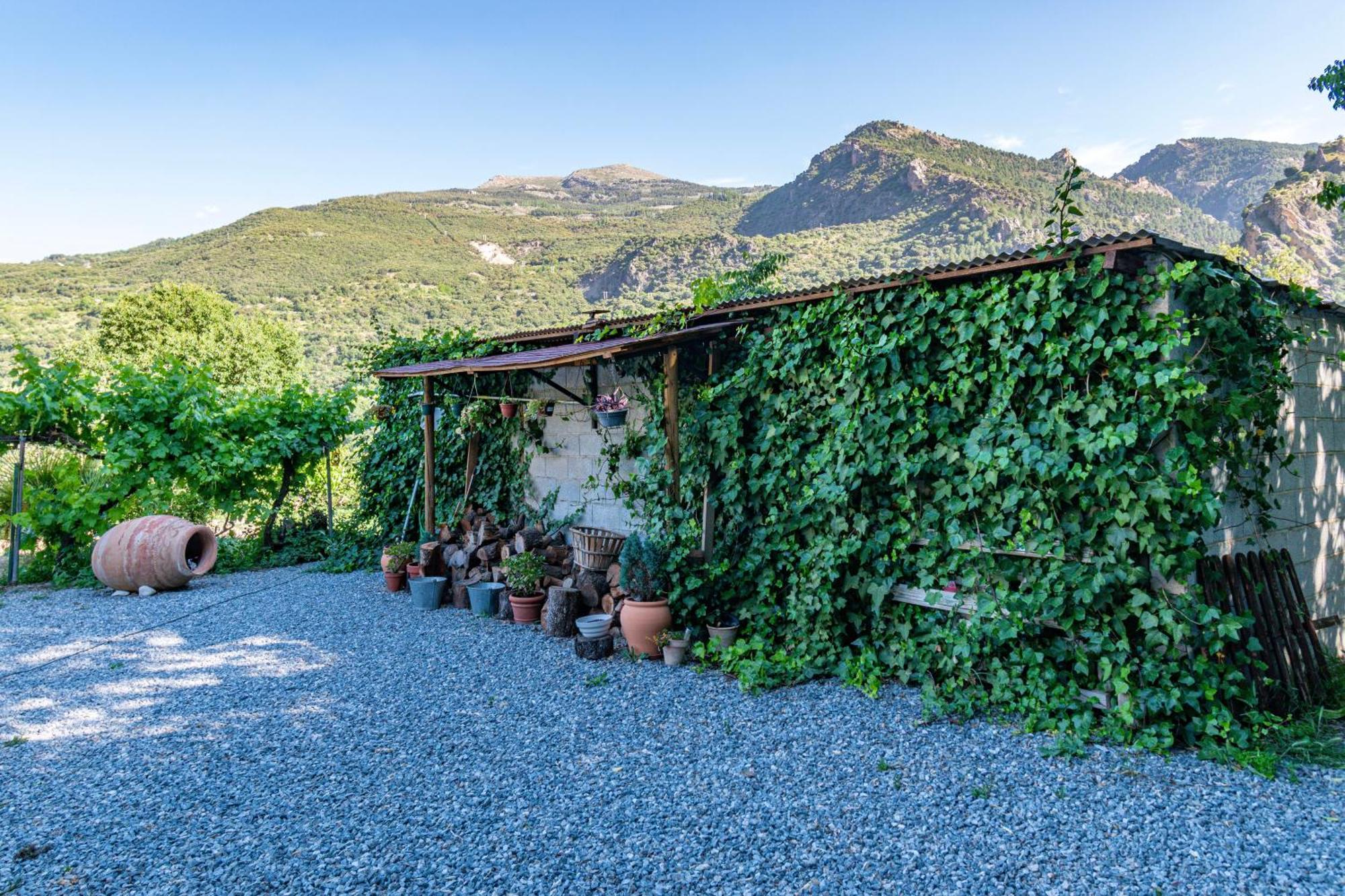 Casa Rural Olivillas Garden-Sierra Nevada Guejar Sierra Eksteriør bilde